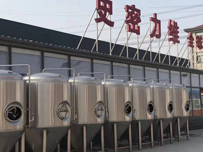 茶陵精酿啤酒设备厂—如何判断精酿啤酒设备的密封件需要更换？